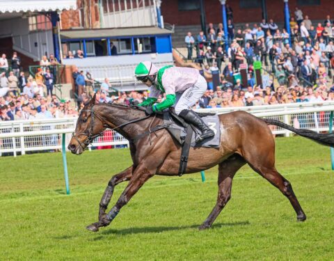 Wilful wins on Scottish soil - O'Neill Racing