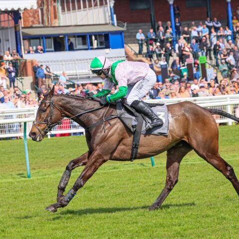 Wilful wins on Scottish soil - O'Neill Racing