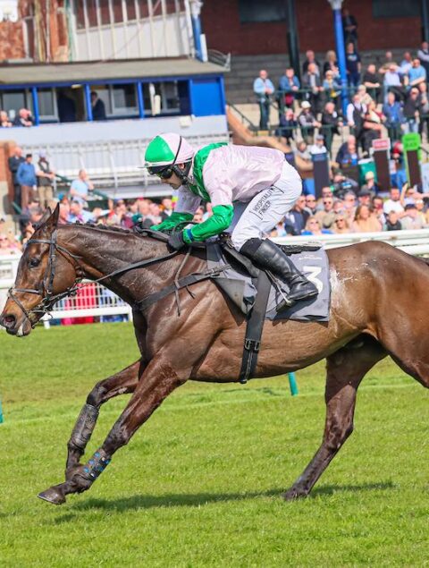 Wilful wins on Scottish soil - O'Neill Racing