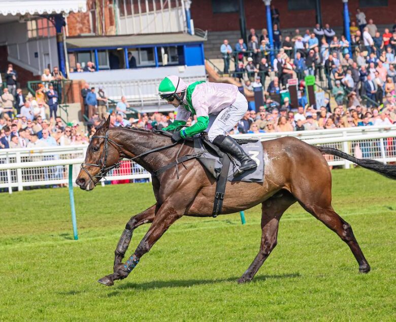 Wilful wins on Scottish soil - O'Neill Racing
