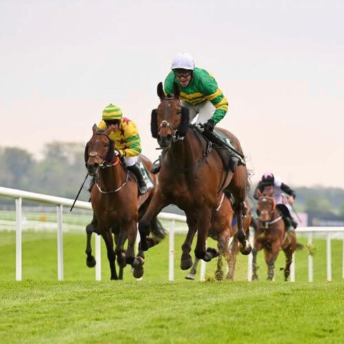 495805518_18458803687077963_6633511313493830598_n