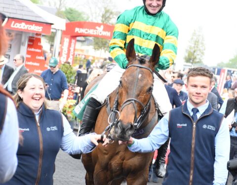 Petit Tonnerre wins at the Punchestown Festival - O'Neill Racing