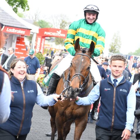 Petit Tonnerre wins at the Punchestown Festival - O'Neill Racing