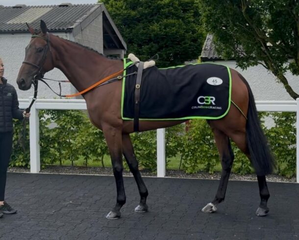 Belle Star Outlaw - O'Neill Racing