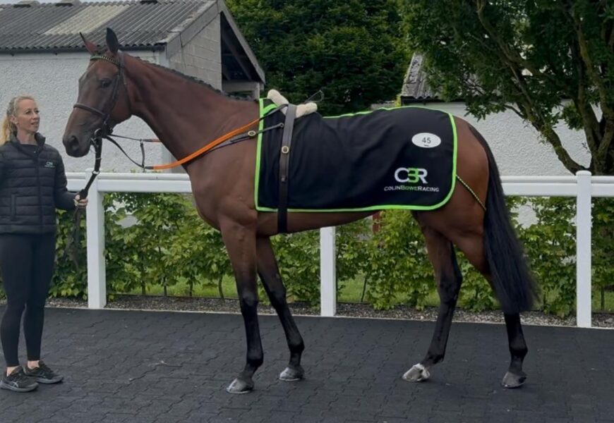 Belle Star Outlaw - O'Neill Racing