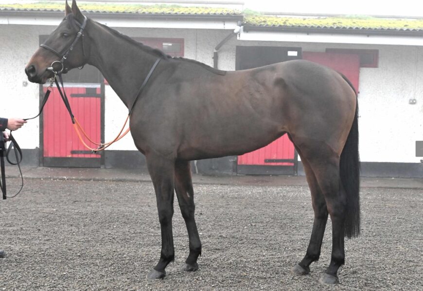 Cancelled - O'Neill Racing