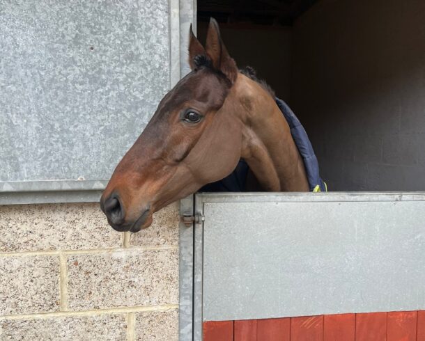 Cancelled - O'Neill Racing