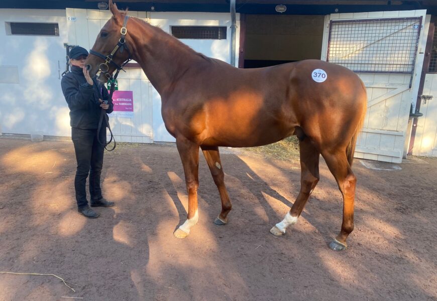 Galliway ex Illa Alqamar - O'Neill Racing