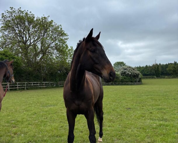 Jack Hobbs ex Atlanta Ablaze - O'Neill Racing