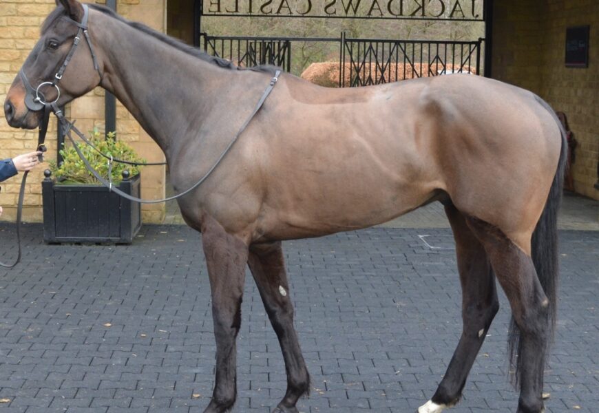 Jack Hobbs ex Atlanta Ablaze - O'Neill Racing