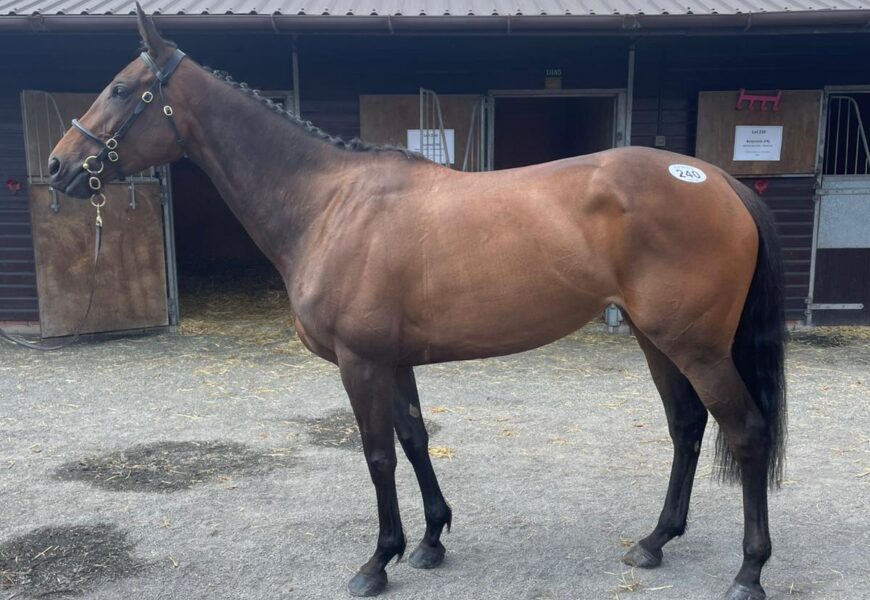 Trustfall - O'Neill Racing