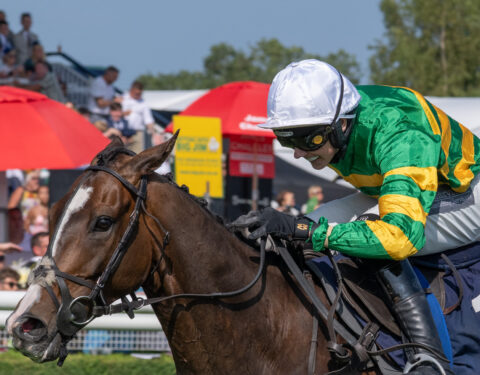 Icare Allen wins at Uttoxeter - O'Neill Racing