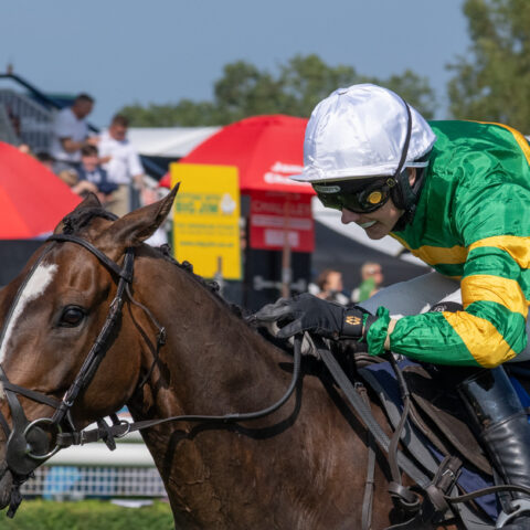 Icare Allen wins at Uttoxeter - O'Neill Racing