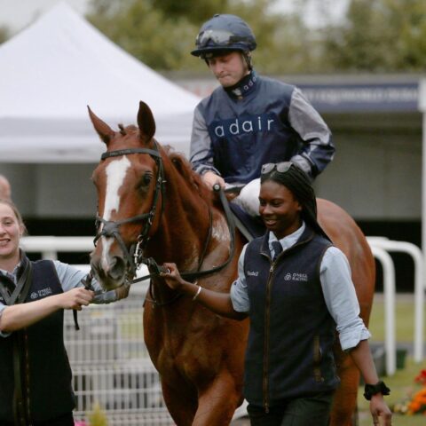 Just Adair wins on the flat at Windsor - O'Neill Racing