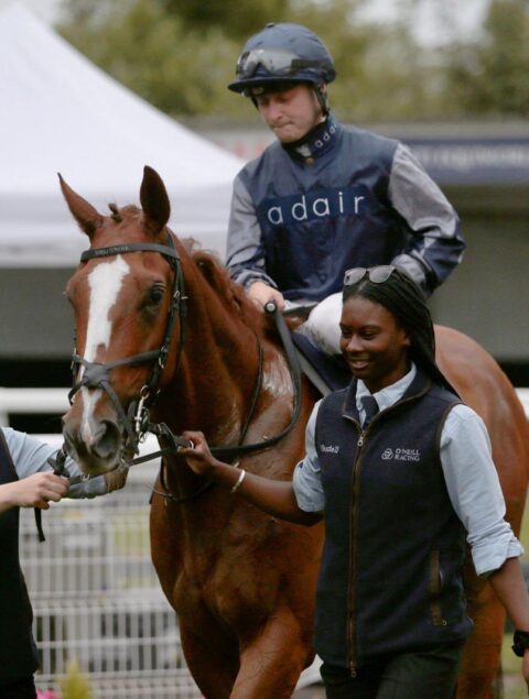Just Adair wins on the flat at Windsor - O'Neill Racing