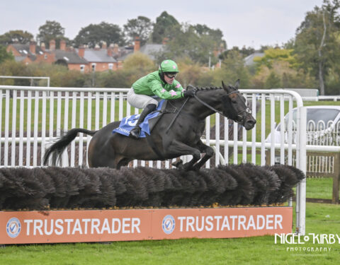 Don Virginia romps home at Worcester - O'Neill Racing