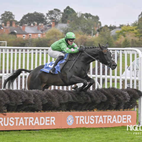 Don Virginia romps home at Worcester - O'Neill Racing