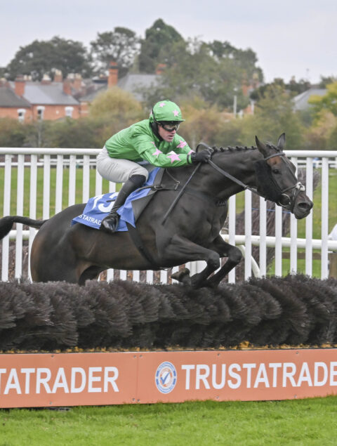 Don Virginia romps home at Worcester - O'Neill Racing