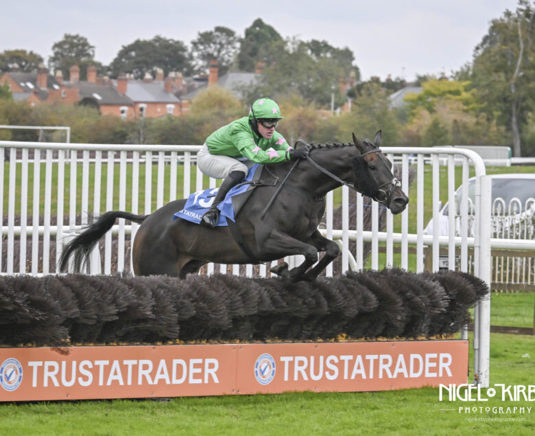 Don Virginia romps home at Worcester - O'Neill Racing