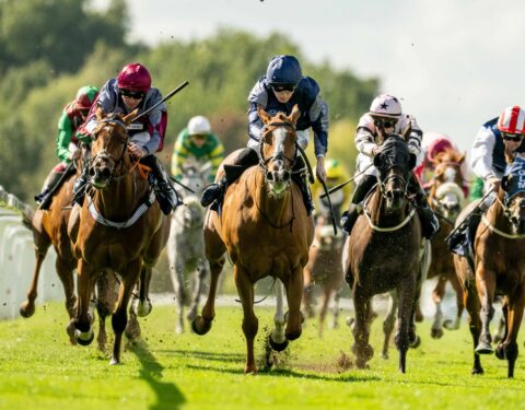 Just Adair wins (again!) at Windsor - O'Neill Racing