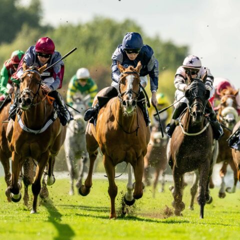 Just Adair wins (again!) at Windsor - O'Neill Racing