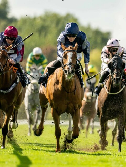 Just Adair wins (again!) at Windsor - O'Neill Racing