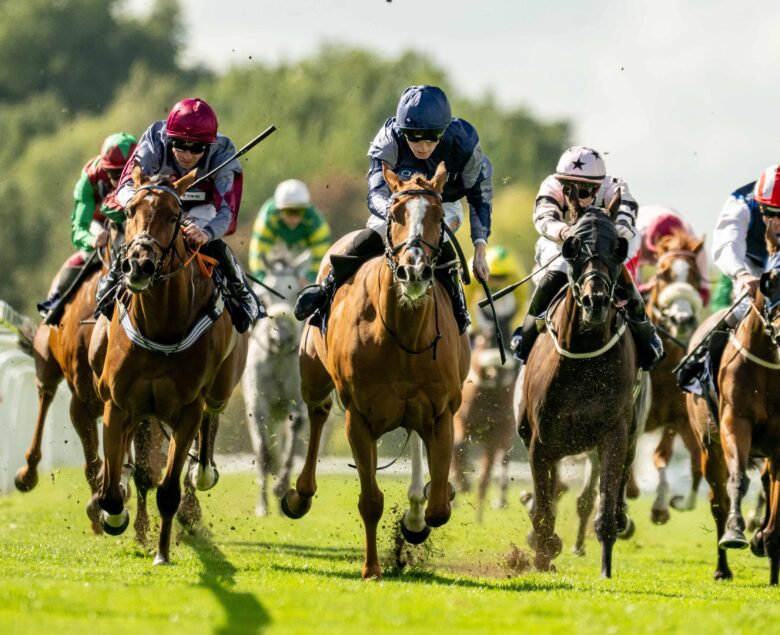 Just Adair wins (again!) at Windsor - O'Neill Racing