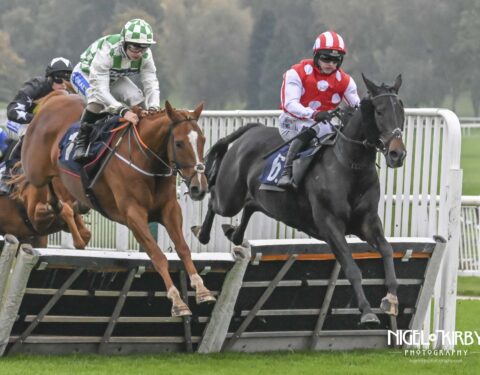 Cawthorne Banker wins at Uttoxeter - O'Neill Racing Cawthorne Banker wins at Uttoxeter - O'Neill Racing