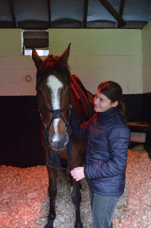 3f3dba44-dd86-4b69-b880-5ce331e6ff7b