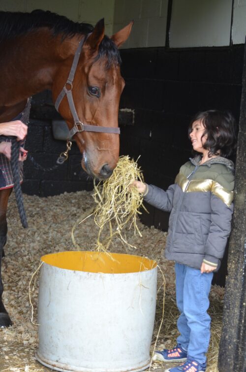 5fc36421-4905-4440-bb60-28e3528054e2