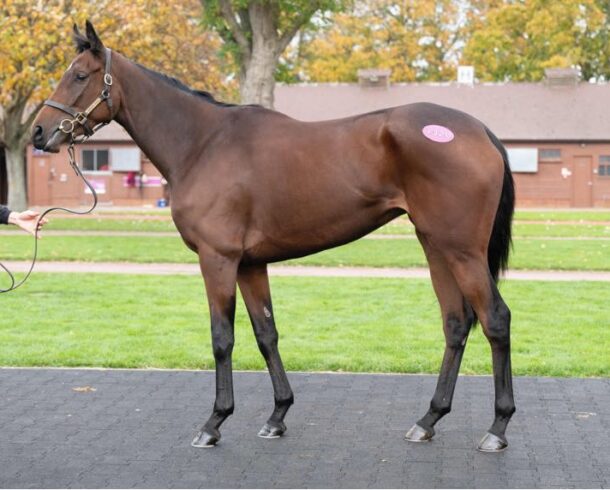 Likewhatyousee - O'Neill Racing