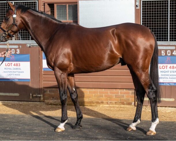 Without Burlington - O'Neill Racing