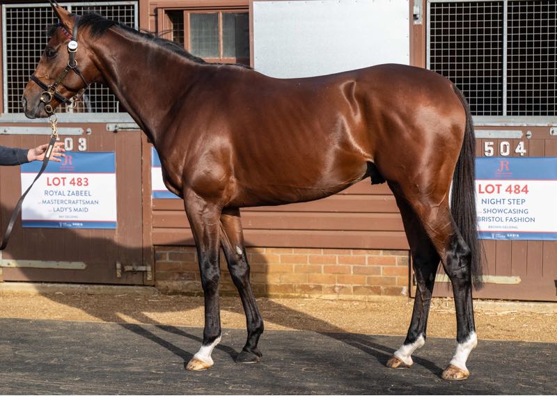 Without Burlington - O'Neill Racing