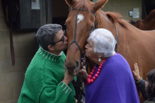 e5e29c9a-d5f3-4708-8c9b-4a0f6a2faab7