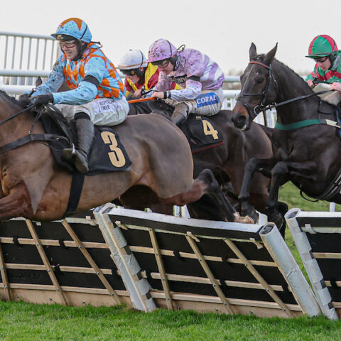 Rula Bula holds on to win at Carlisle - O'Neill Racing