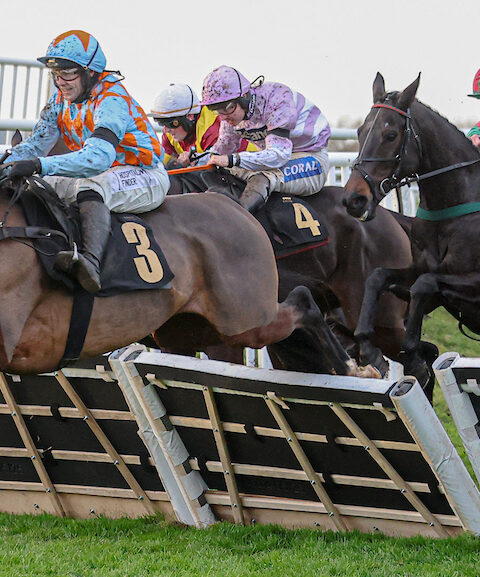 Rula Bula holds on to win at Carlisle - O'Neill Racing