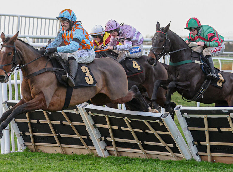 Rula Bula holds on to win at Carlisle - O'Neill Racing