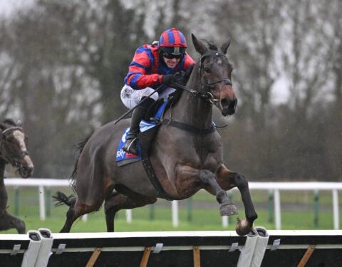 We’re Red And Blue wins at Huntingdon - O'Neill Racing