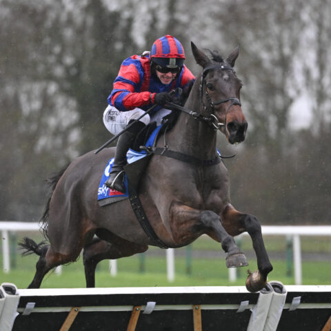 We’re Red And Blue wins at Huntingdon - O'Neill Racing