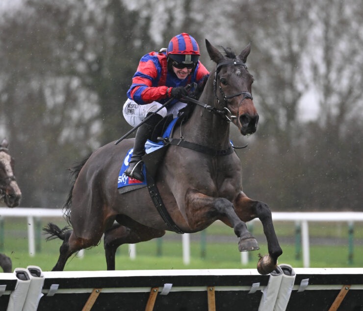 O'Neill Racing - We’re Red And Blue wins at Huntingdon