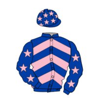 Noonetellsmenothin wins on hurdle debut at Catterick - silk