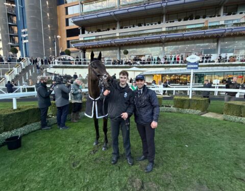 Wilful wins at Ascot - O'Neill Racing