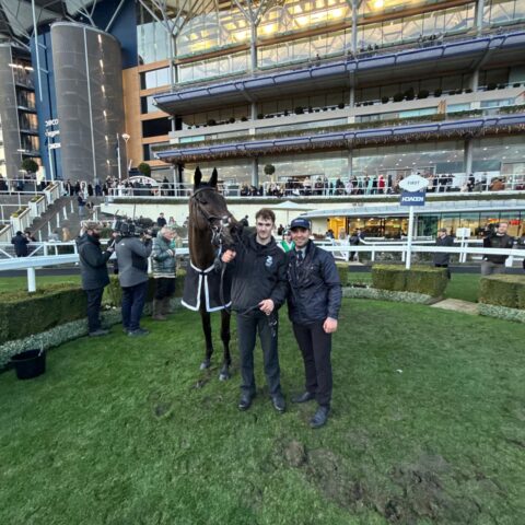 Wilful wins at Ascot - O'Neill Racing