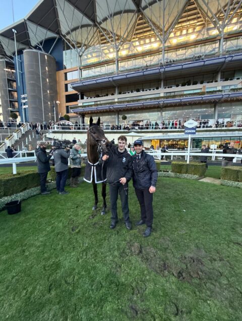 Wilful wins at Ascot - O'Neill Racing