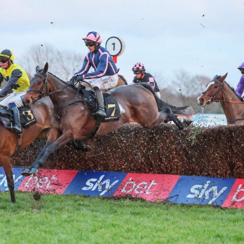 Koukeo wins at Haydock - O'Neill Racing