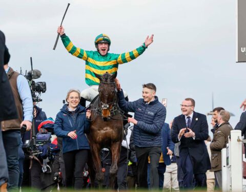 A magical day as Johnnywho wins at Cheltenham - O'Neill Racing