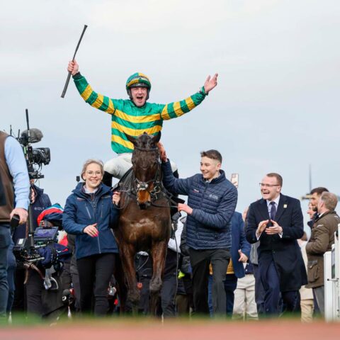 A magical day as Johnnywho wins at Cheltenham - O'Neill Racing