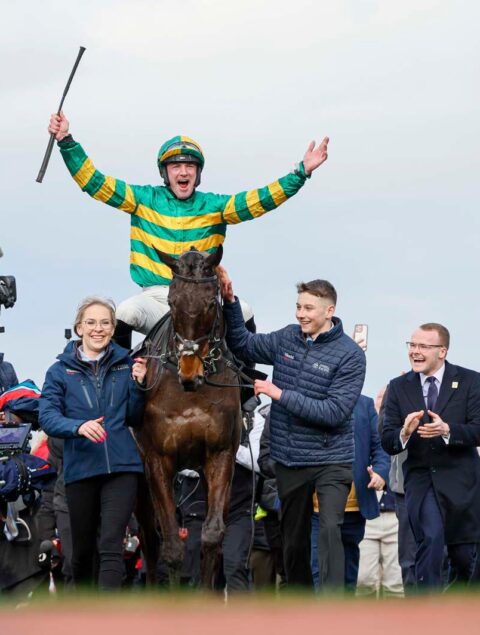 A magical day as Johnnywho wins at Cheltenham - O'Neill Racing