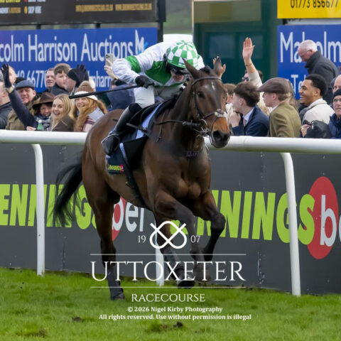 Wellington Arch continues our great week with victory at Uttoxeter - O'Neill Racing