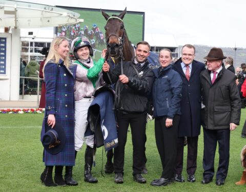 Wilful secures an amazing week at Cheltenham - O'Neill Racing